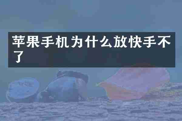 苹果手机为什么放快手不了