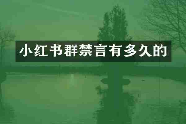 小红书群禁言有多久的