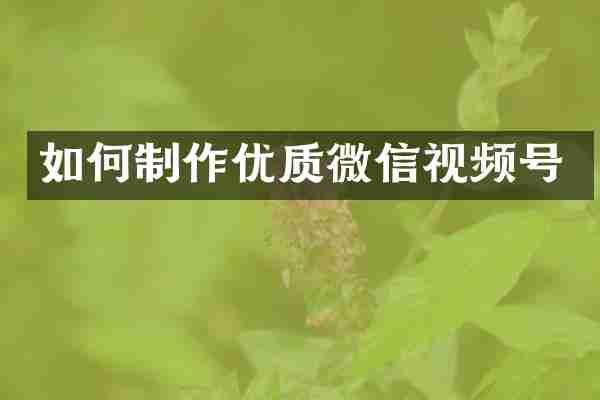 如何制作优质微信视频号