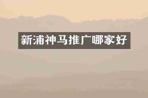 新浦神马推广哪家好