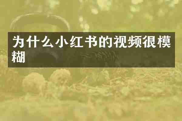 为什么小红书的视频很模糊