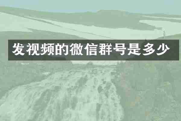 发视频的微信群号是多少