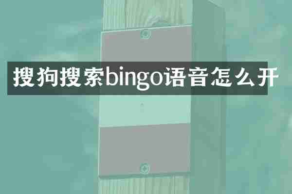 搜狗搜索bingo语音怎么开