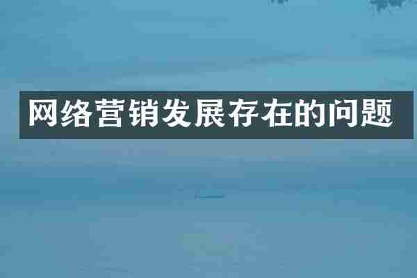 网络营销发展存在的问题