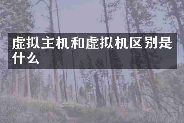 虚拟主机和虚拟机区别是什么