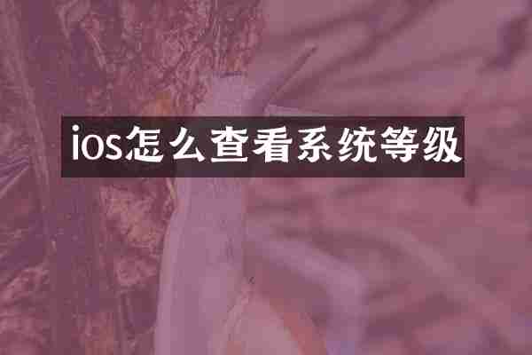 ios怎么查看系统等级
