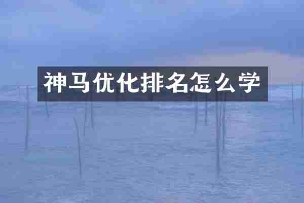 神马优化排名怎么学