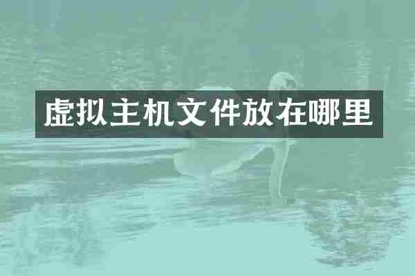 虚拟主机文件放在哪里