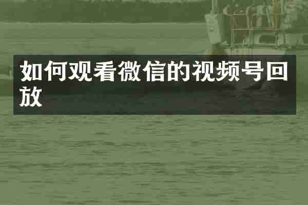如何观看微信的视频号回放