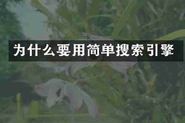 为什么要用简单搜索引擎