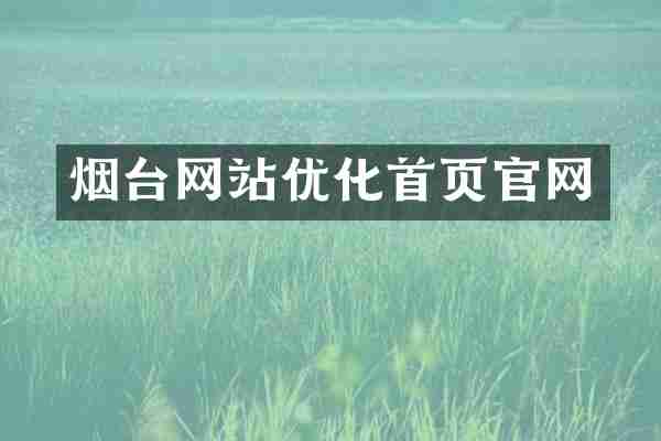 烟台网站优化首页官网