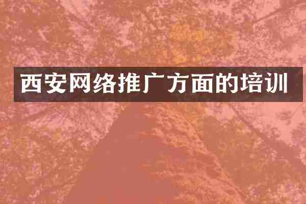 西安网络推广方面的培训