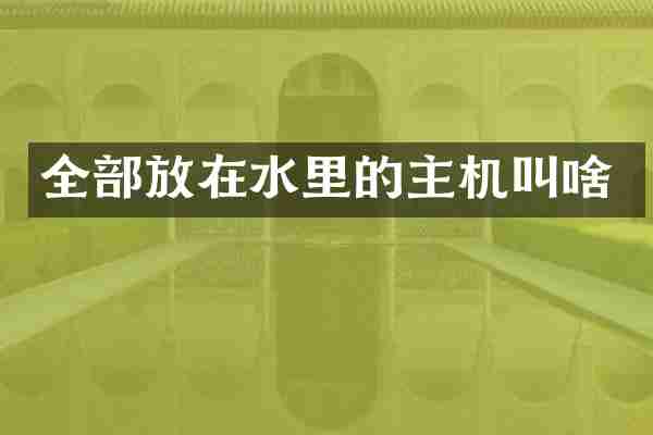 全部放在水里的主机叫啥