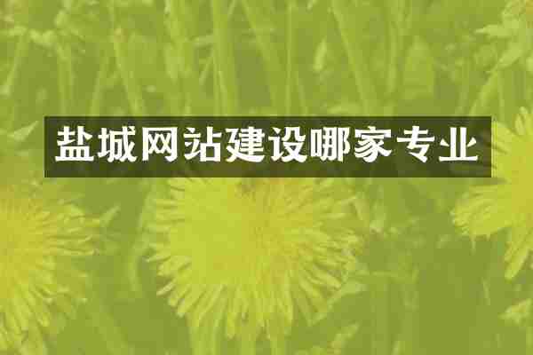 盐城网站建设哪家专业