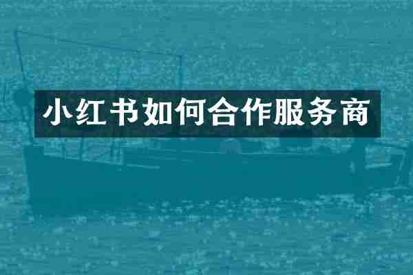 小红书如何合作服务商