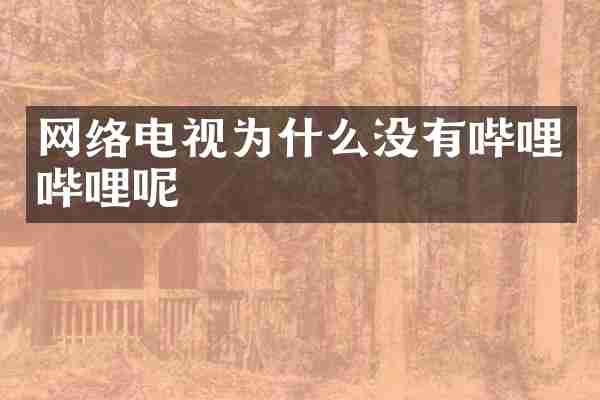 网络电视为什么没有哔哩哔哩呢