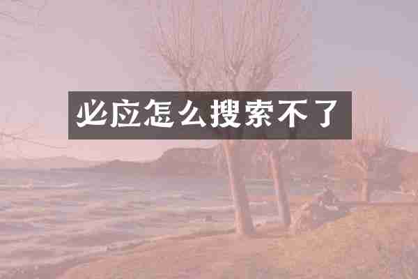 必应怎么搜索不了