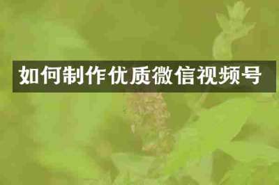 如何制作优质微信视频号