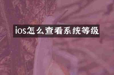 ios怎么查看系统等级