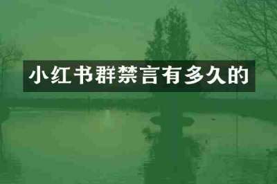 小红书群禁言有多久的