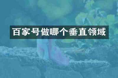 百家号做哪个垂直领域