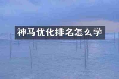 神马优化排名怎么学
