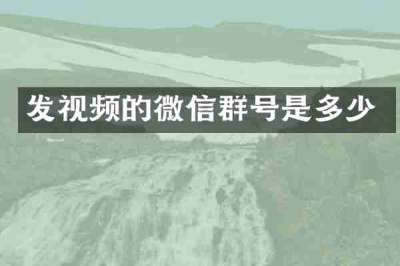 发视频的微信群号是多少