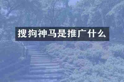 搜狗神马是推广什么