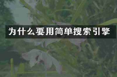 为什么要用简单搜索引擎