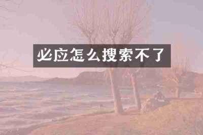 必应怎么搜索不了