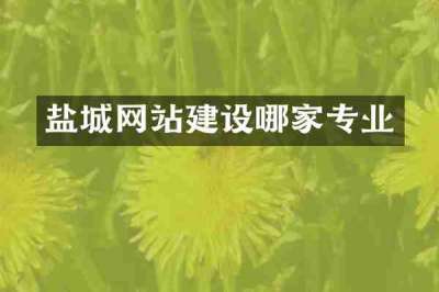 盐城网站建设哪家专业