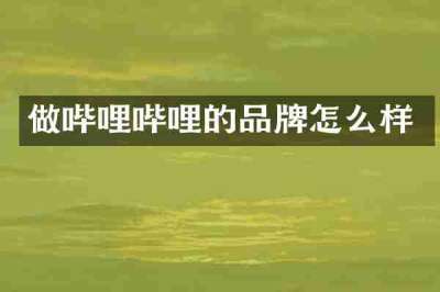 做哔哩哔哩的品牌怎么样