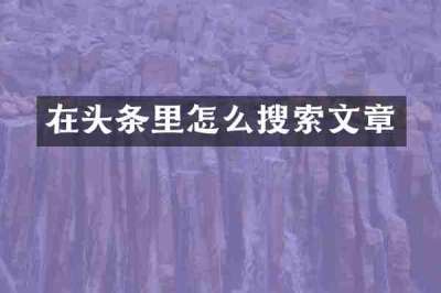 在头条里怎么搜索文章