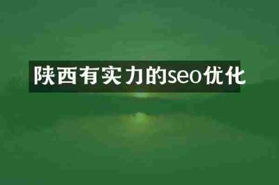 陕西有实力的seo优化