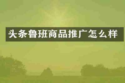 头条鲁班商品推广怎么样
