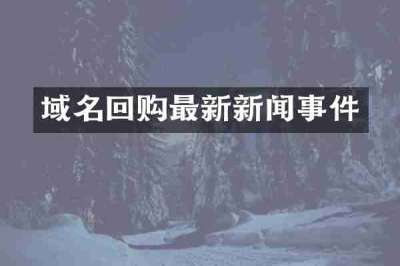 域名回购最新新闻事件