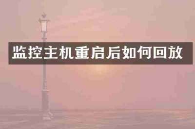 监控主机重启后如何回放