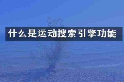 什么是运动搜索引擎功能
