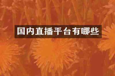国内直播平台有哪些