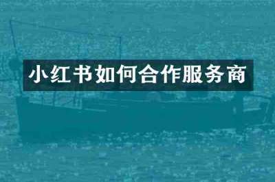 小红书如何合作服务商