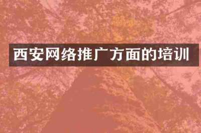 西安网络推广方面的培训