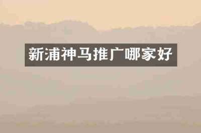 新浦神马推广哪家好