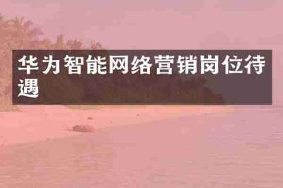 华为智能网络营销岗位待遇
