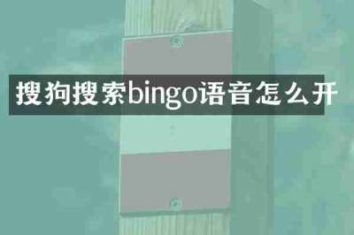 搜狗搜索bingo语音怎么开