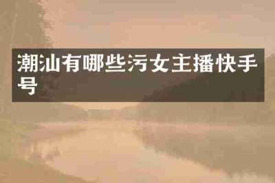 潮汕有哪些污女主播快手号