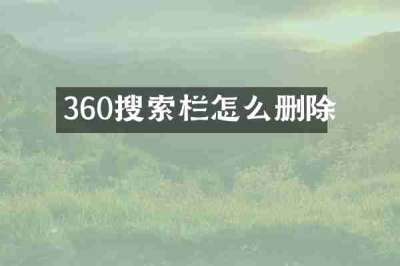 360搜索栏怎么删除