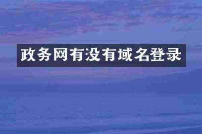 政务网有没有域名登录