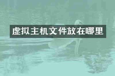 虚拟主机文件放在哪里
