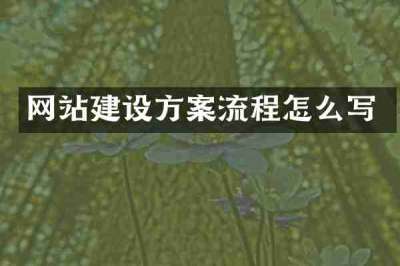 网站建设方案流程怎么写