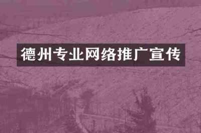 德州专业网络推广宣传